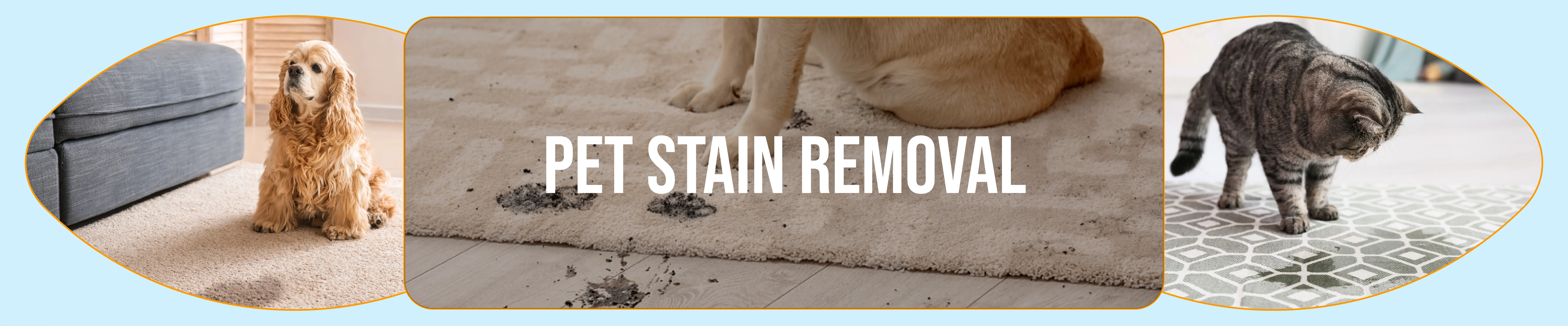 carpet cleaning in new york, carpet cleaning new york, carpet cleaners in new york, carpet cleaners in new york, commercial carpet cleaning, commercial carpet cleaning in new york, new york rug cleaners, rug cleaning services in new york, same day carpet cleaning, same day rug cleaning in new york