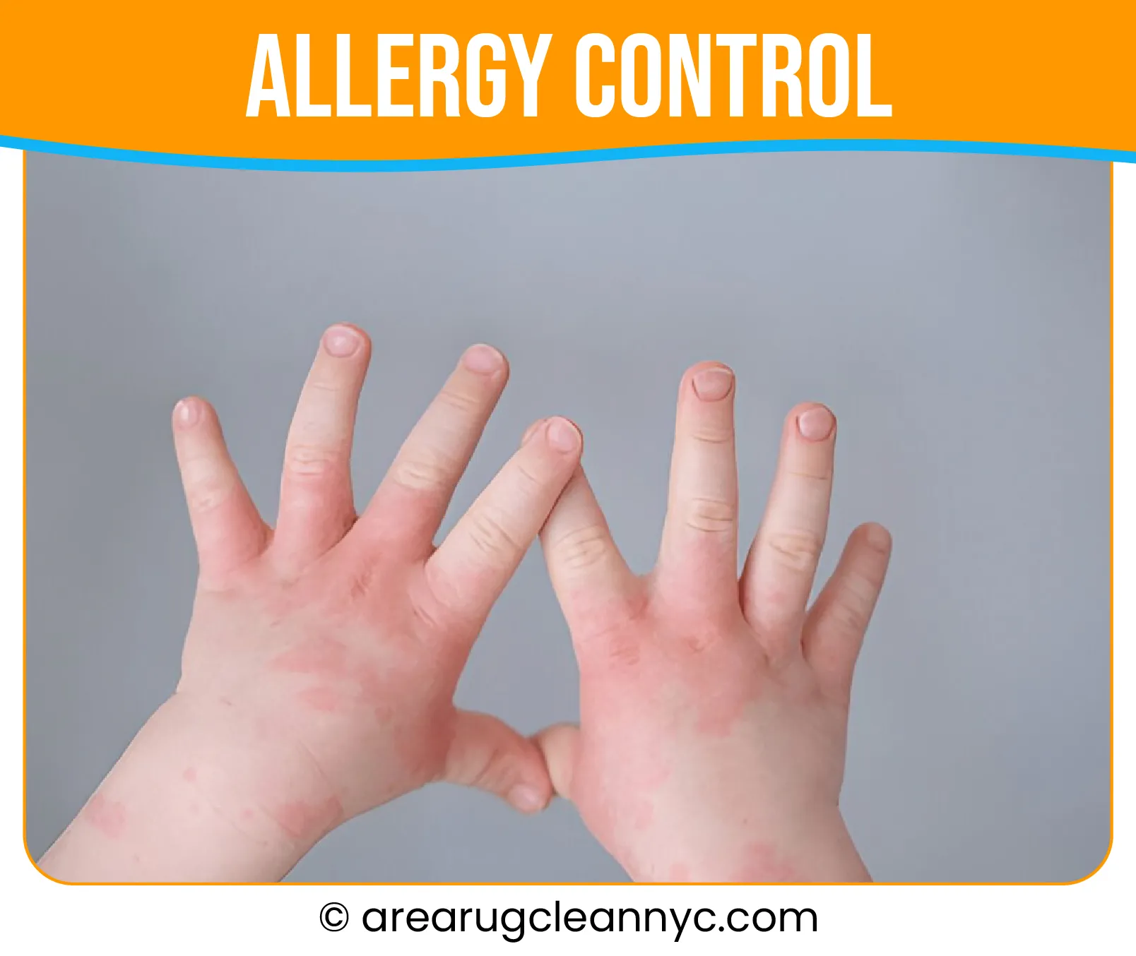 carpet cleaning in new york, carpet cleaning new york, carpet cleaners in new york, carpet cleaners in new york, commercial carpet cleaning, commercial carpet cleaning in new york, new york rug cleaners, rug cleaning services in new york, same day carpet cleaning, same day rug cleaning in new york