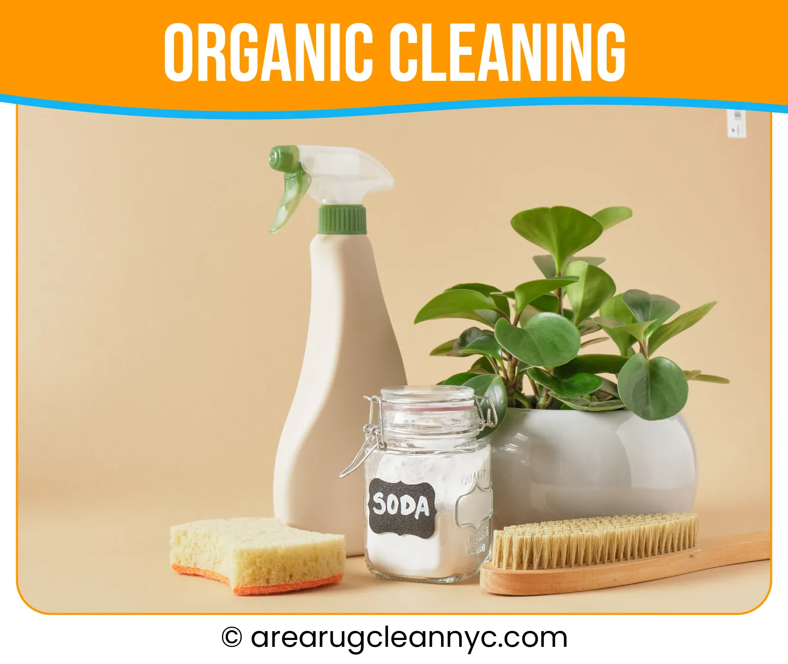 carpet cleaning in new york, carpet cleaning new york, carpet cleaners in new york, carpet cleaners in new york, commercial carpet cleaning, commercial carpet cleaning in new york, new york rug cleaners, rug cleaning services in new york, same day carpet cleaning, same day rug cleaning in new york